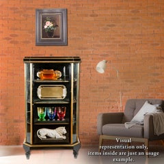 Napoleon III Black Lacquer and Brass Display Cabinet