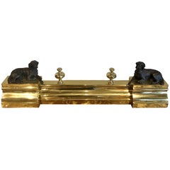 Napoleon III Brass and Patinated Dog Motif Fender, Restored