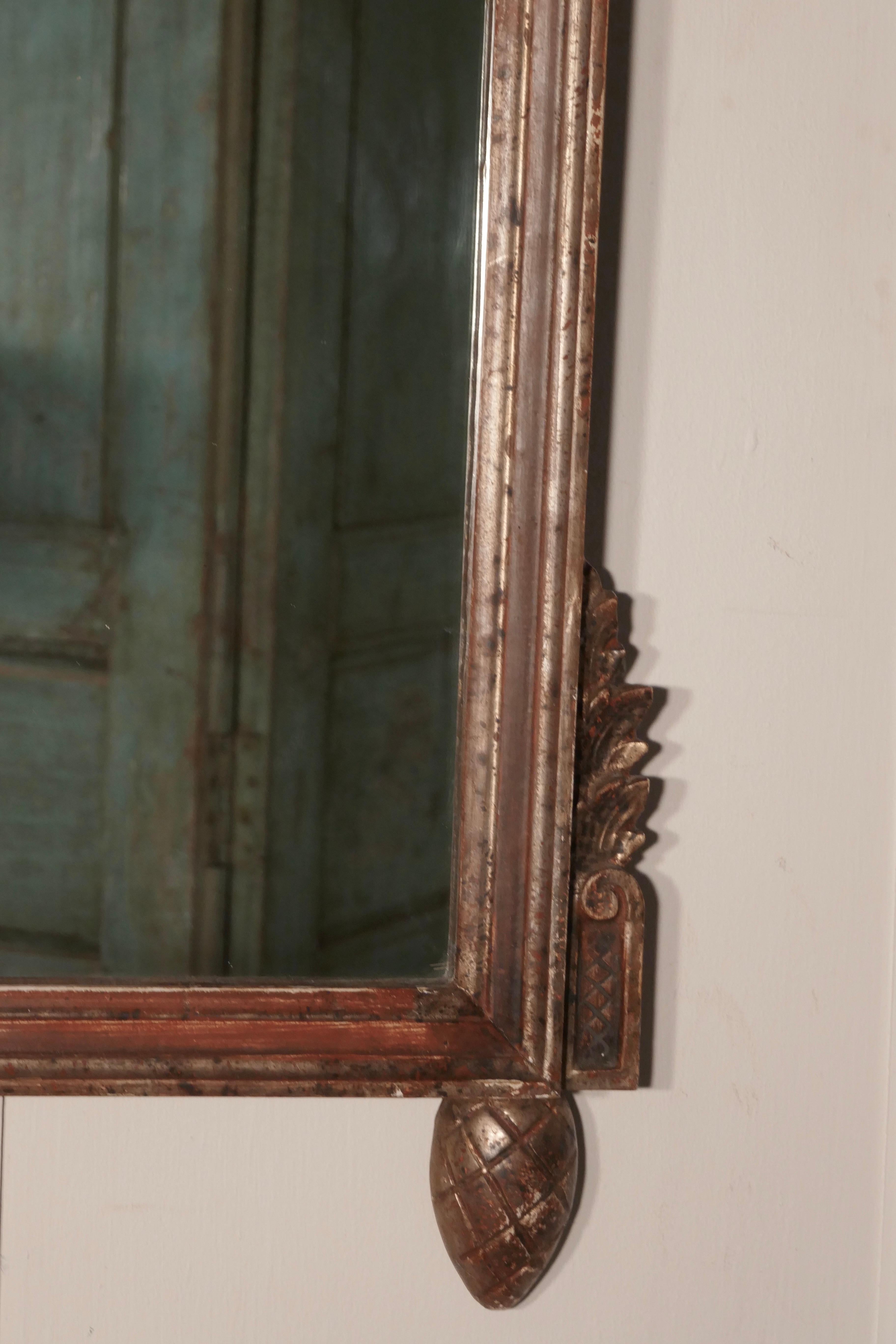 Napoleon III, Distressed, Faded Wall Mirror on a Gardening Theme In Distressed Condition In Chillerton, Isle of Wight
