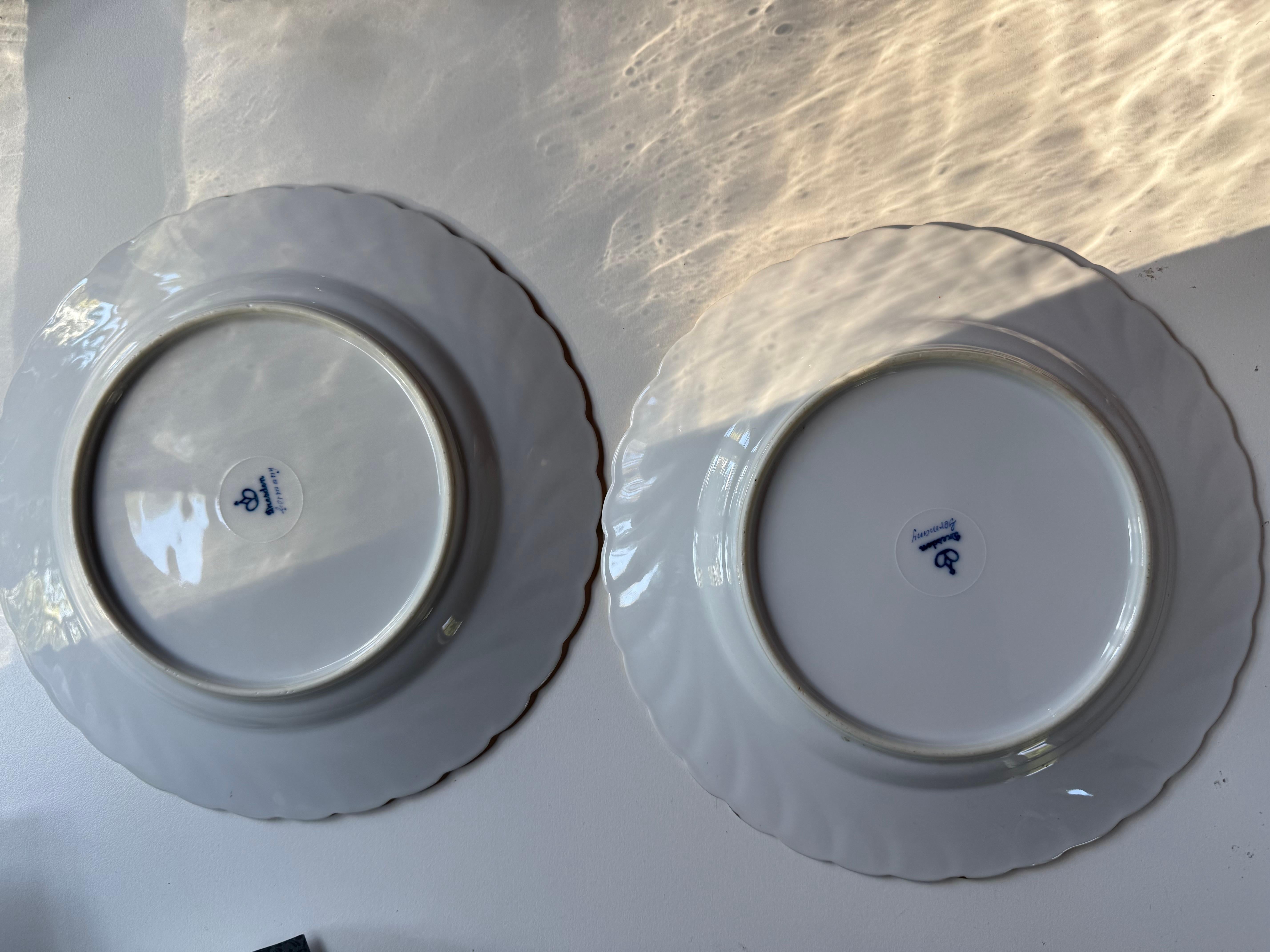 Napoleon III Dresden Plates Donath Co End 19th Century For Sale 5