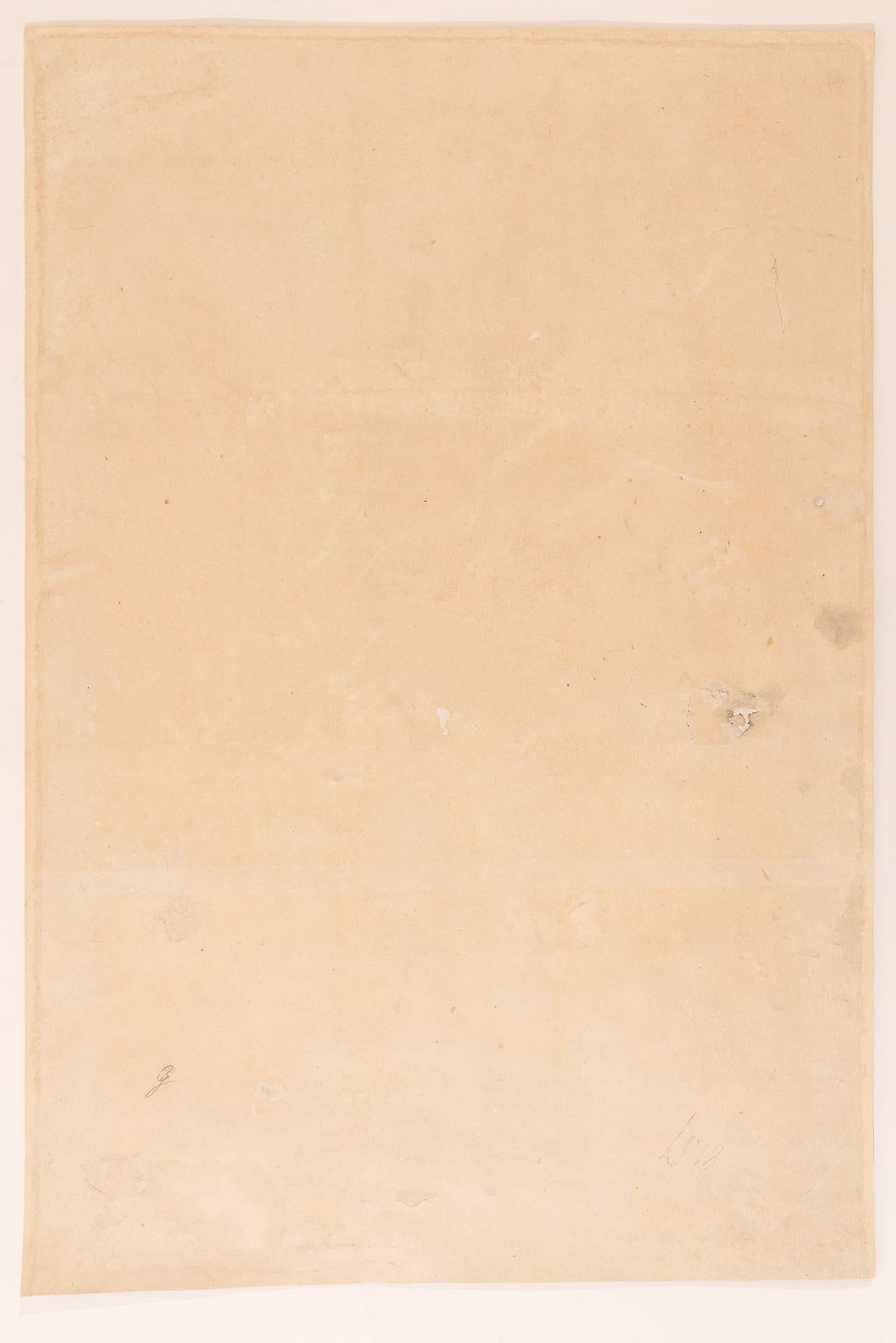 Napoleon Alter Druck (Papier) im Angebot