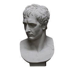 Napoleone Bust