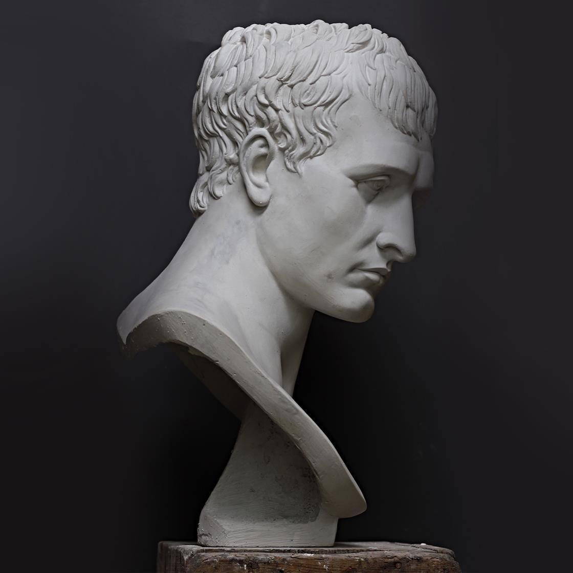 Italian Napoleone Bust For Sale