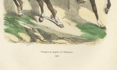Napoleonic Dragoons and Dragoon Sapper, French Cavalry, Published 1843