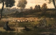 Troupeau de moutons dans la clairière