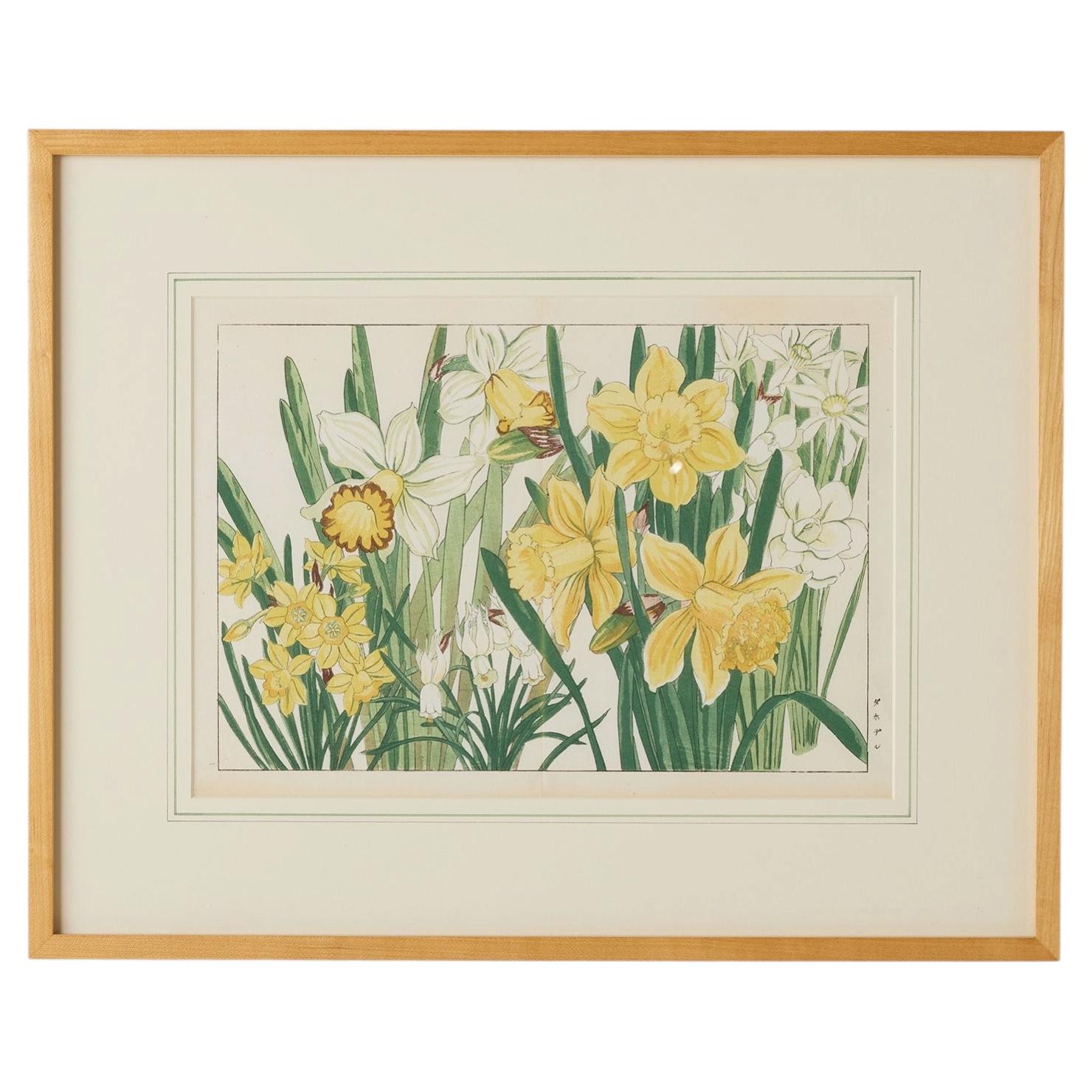 Narcissus Woodblock Print by Tanigami Kōnan For Sale