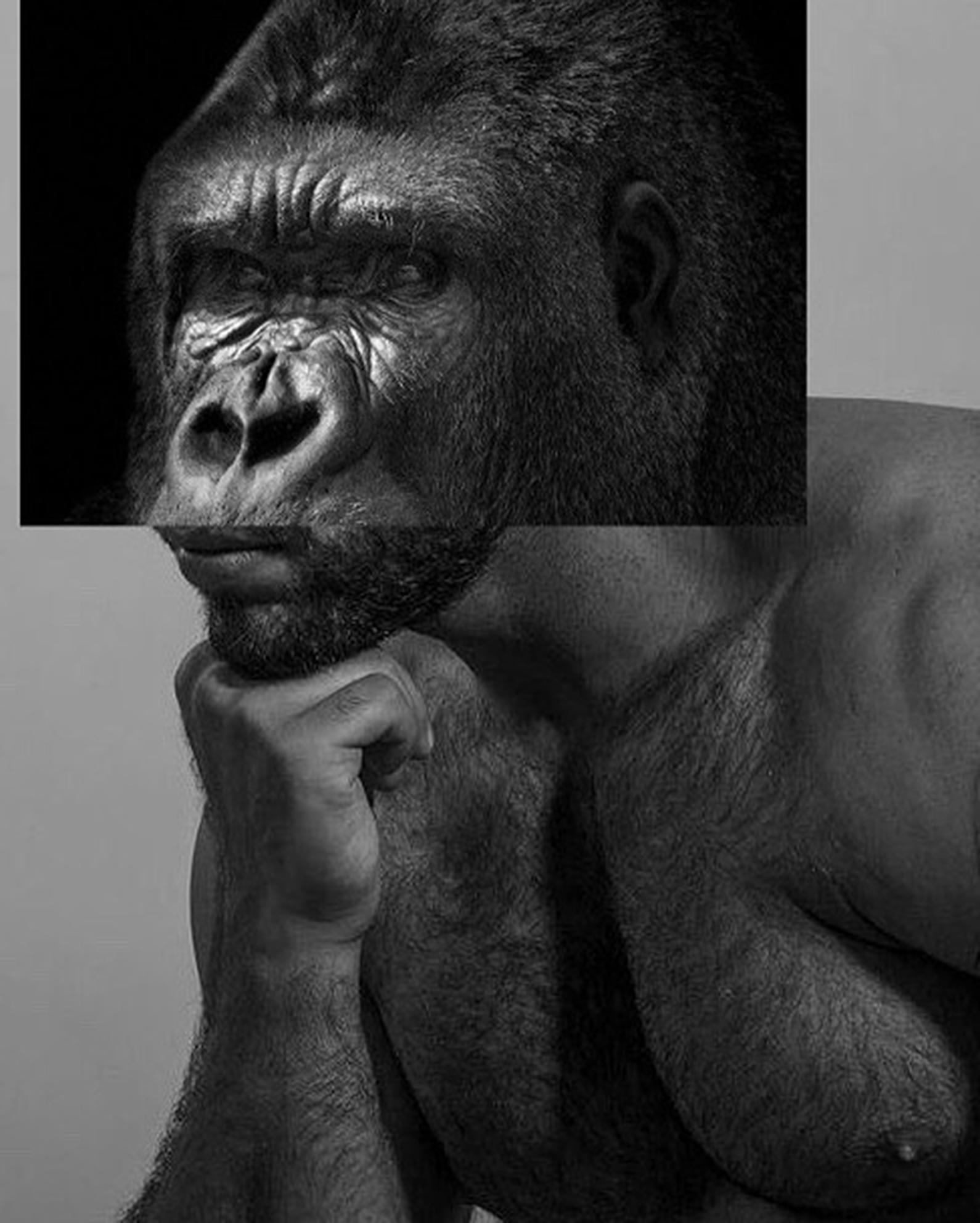 Gorilla + Muscular man digital collage print by Spanish artist Naro Pinosa, made famous in social media. Unique signed-by-artist piece. Authenticity certificated.
Print on photography paper. Glass and white lacquered wooden frame.