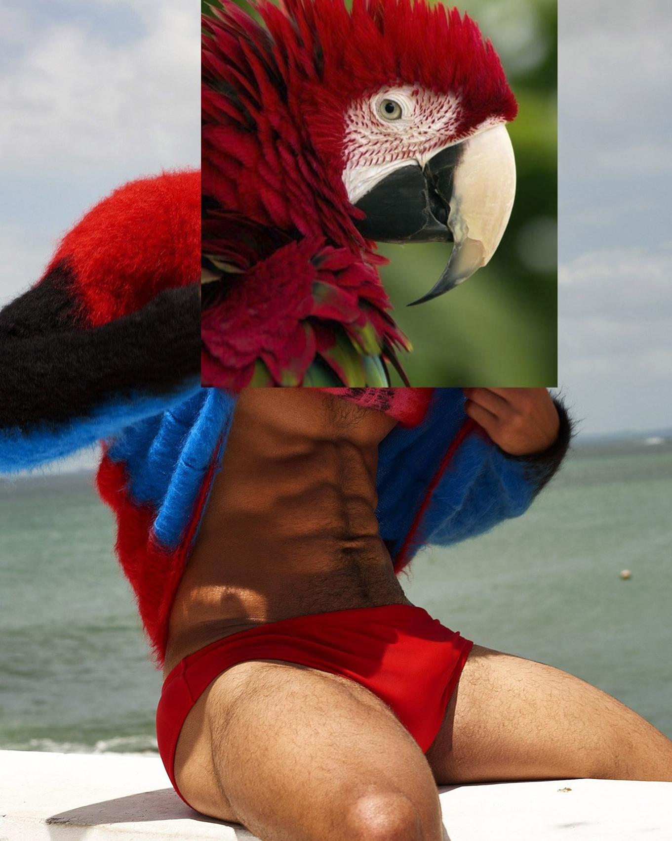 Red parrot + muscular man digital collage print by spanish artist Naro Pinosa, made famous in social media. Unique signed-by-artist piece. Authenticity certificated.
Print on photography papper. Glass and white lacquered wooden frame.