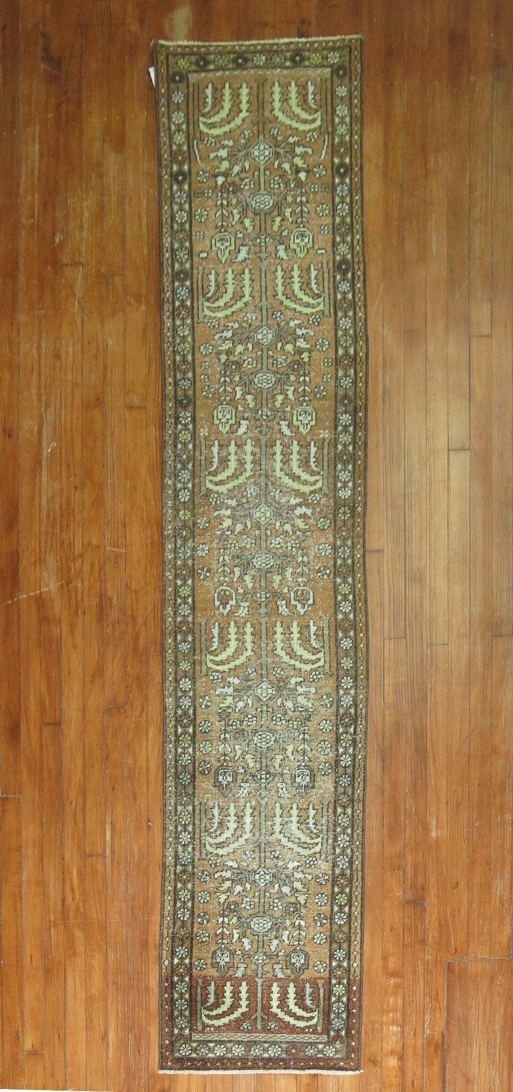 Decorative Persian Heriz one-of-a-kind antique narrow runner from the early 20th century. in brown and green.

Measures: 1'10” x 9'6”.