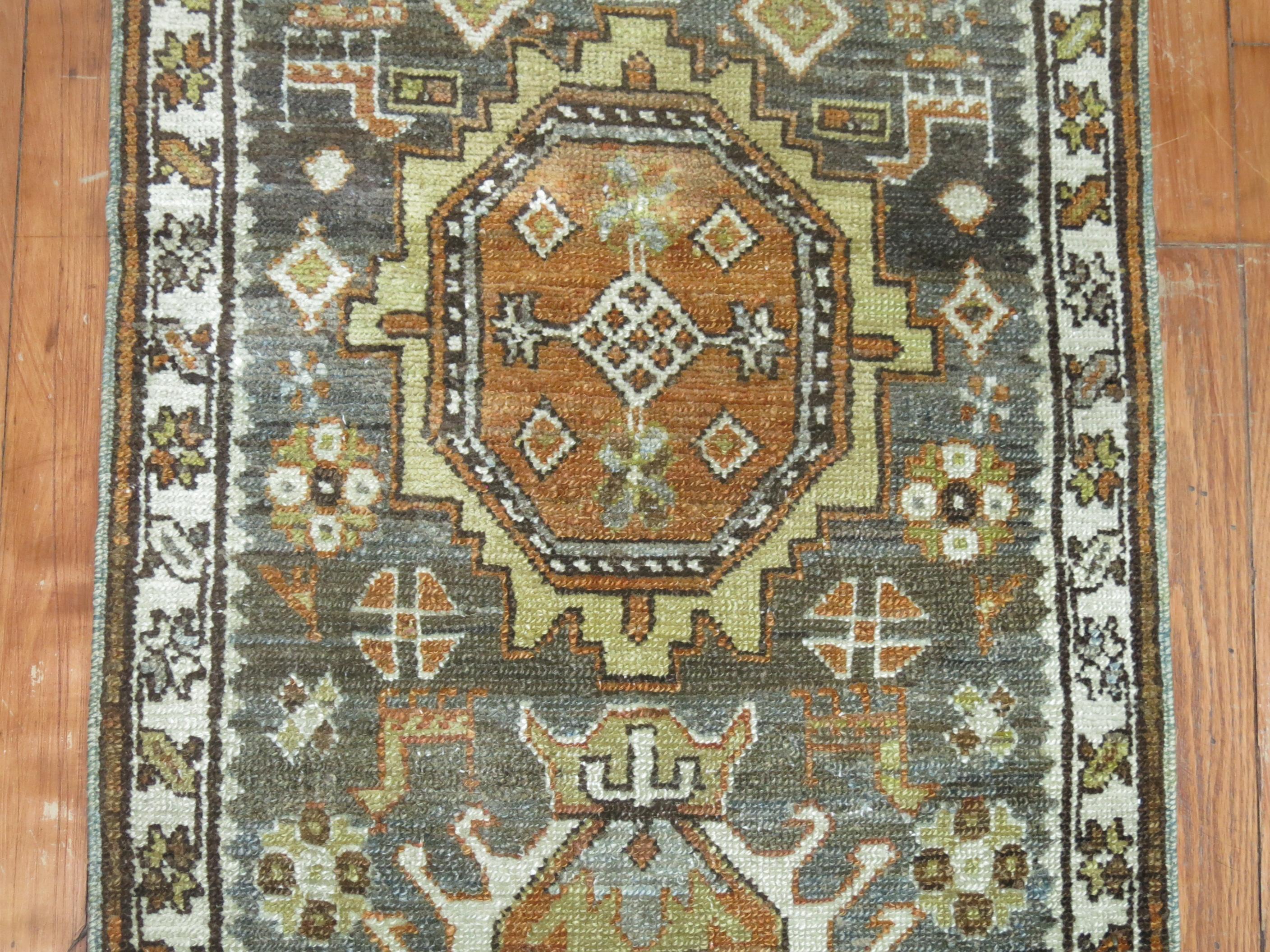 Very narrow and long one of a kind Persian Heriz runner. In greens, browns and blue predominant accents.

2'3'' x 14'2''