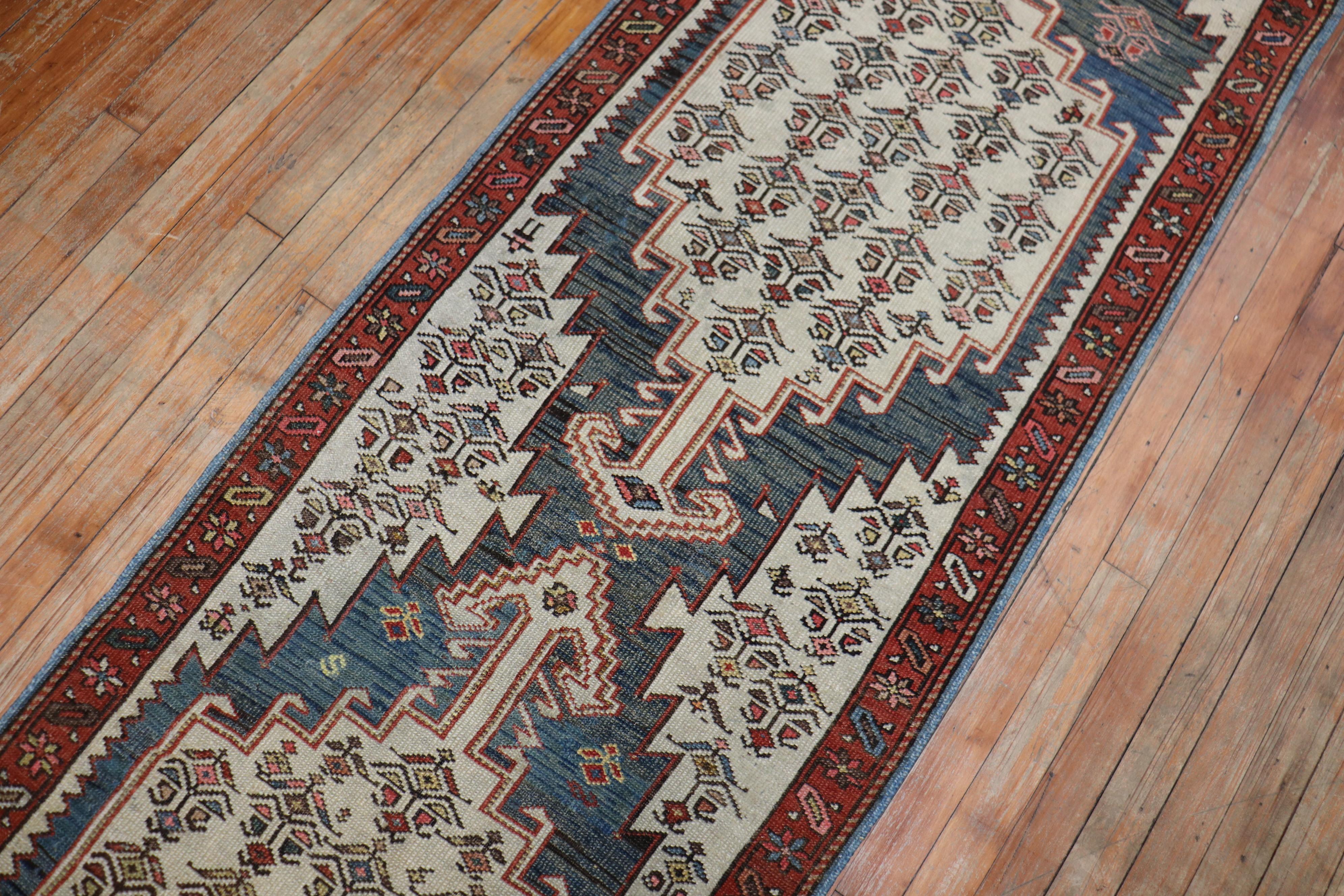An early 20th century Narrow Tribal Northwest Persian Runner

Measures: 2'6