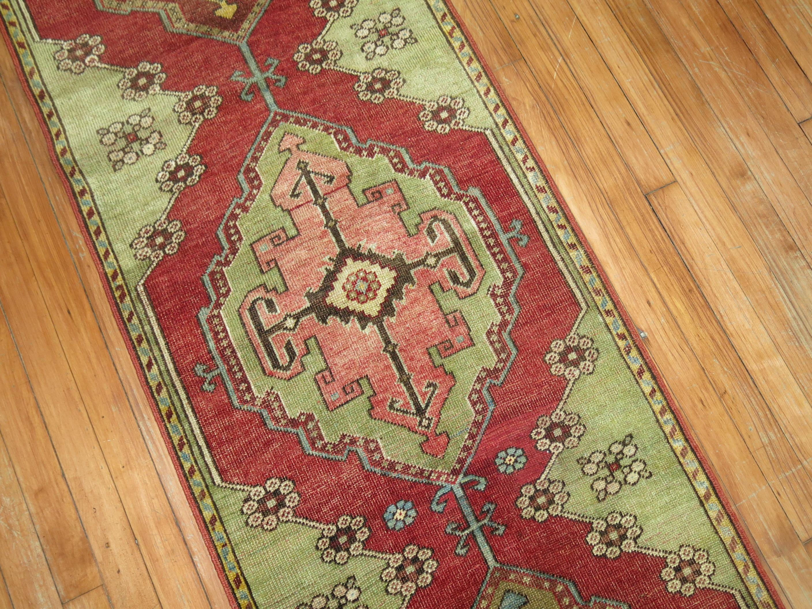 American Colonial Narrow Antique Turkish Colorful Sivas Runner