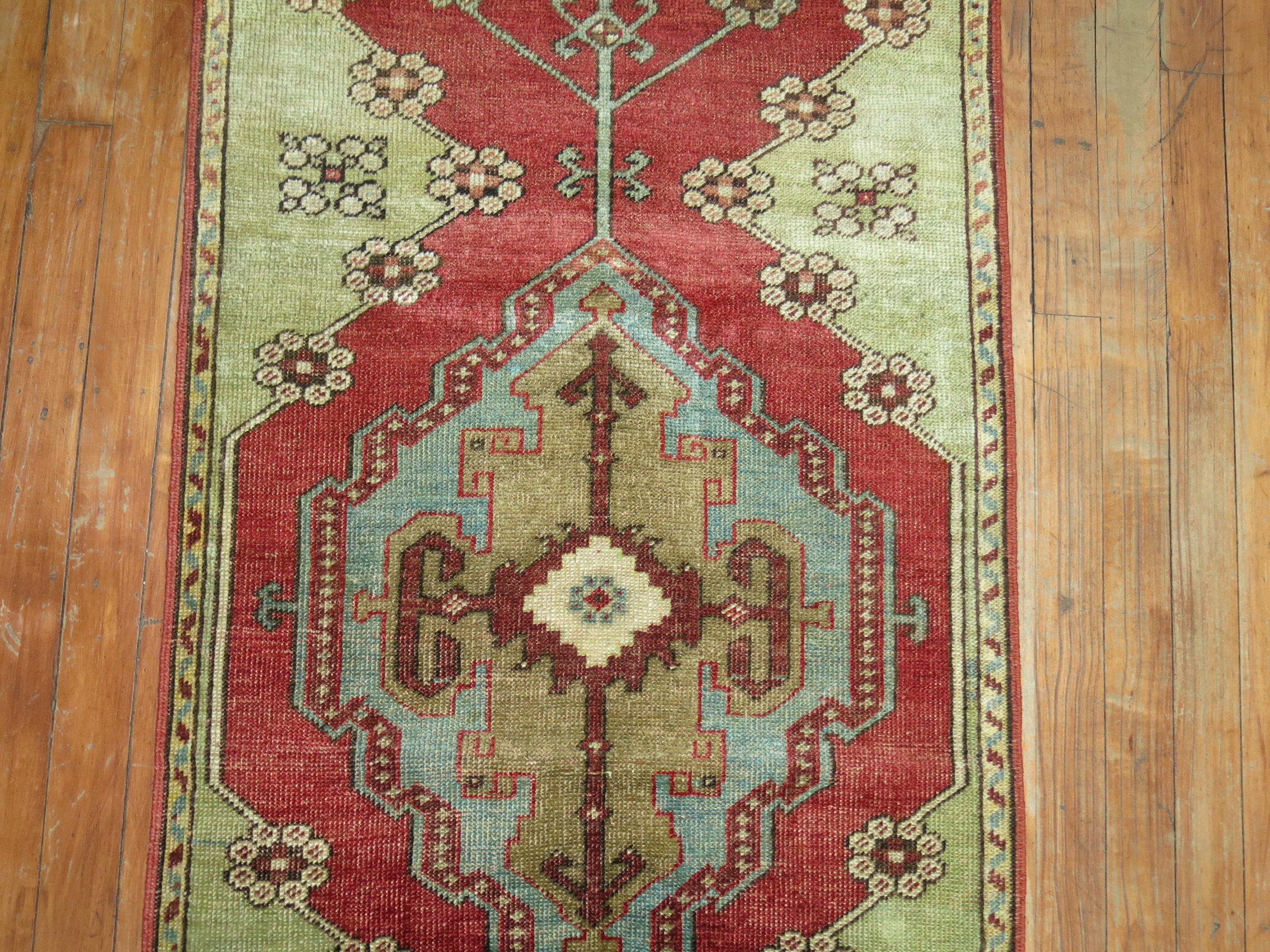 Hand-Knotted Narrow Antique Turkish Colorful Sivas Runner