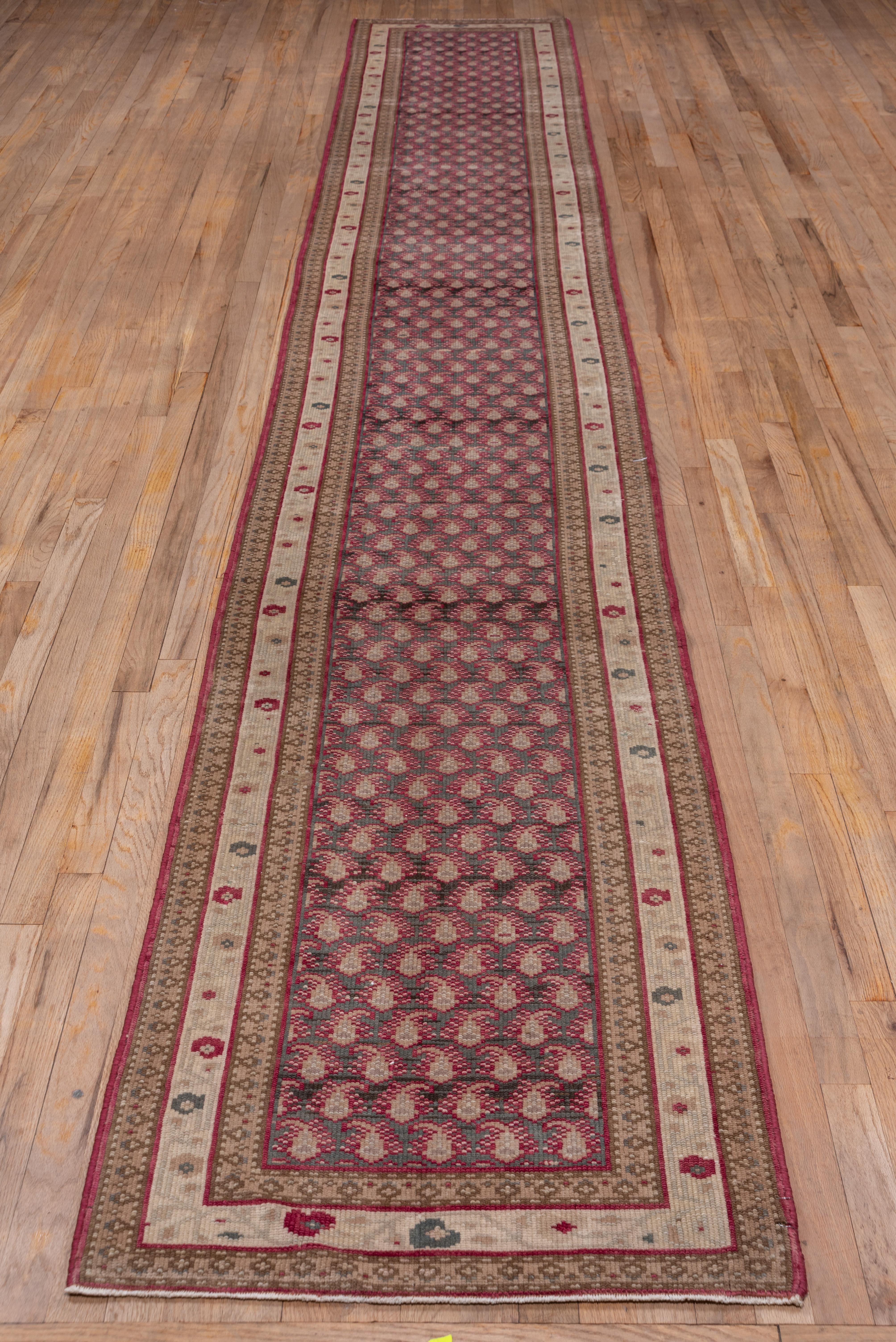 This is a long and narrow Turkish Sivas runner with a slate and grey field that shows rows and more offset rows of reversing floriated paisleys Main light border with spotty simple rosettes. Medium weave, on cotton. Light even wear, generally good