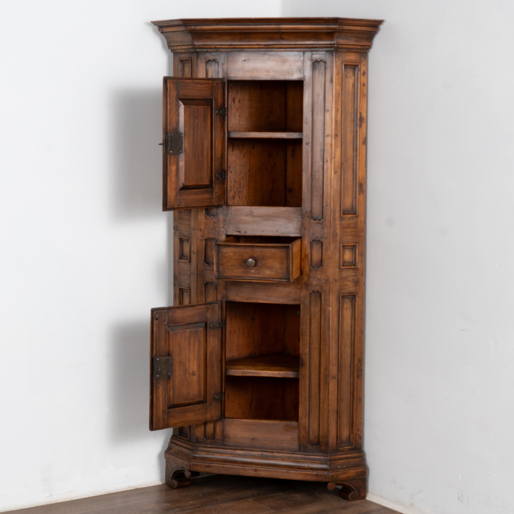 Barocco Armadio angolare stretto in pino scuro, Svezia, circa 1800 in vendita