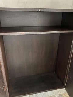 Narrow Depth Metal Cabinet with Antique French Directoire Period Doors