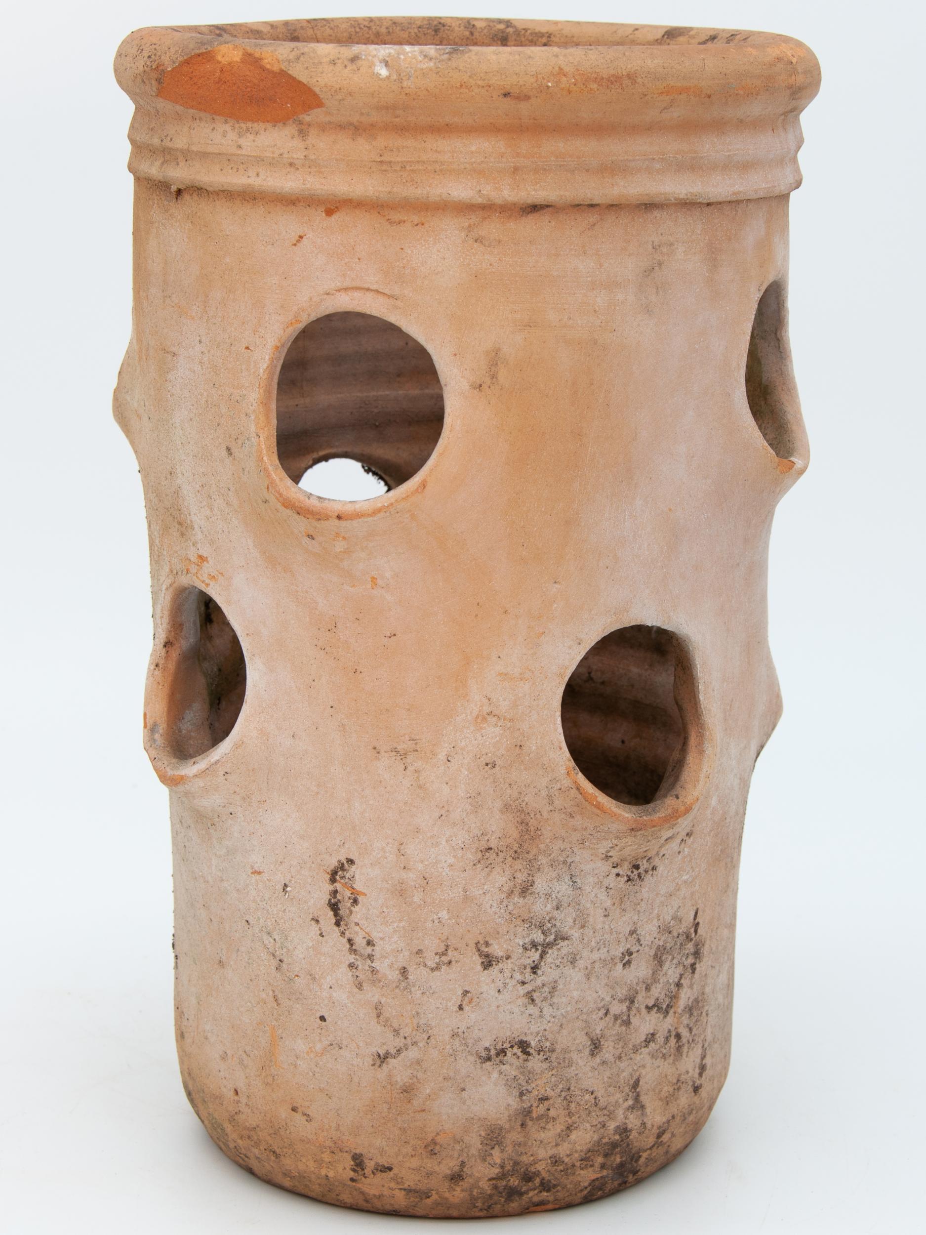 The shape and style of these pots have been perfected to grow Strawberries in. This Strawberry pot made from terracotta features side planting holes at two heights and has an unusual vertical shape with an open top. Early 20th century.