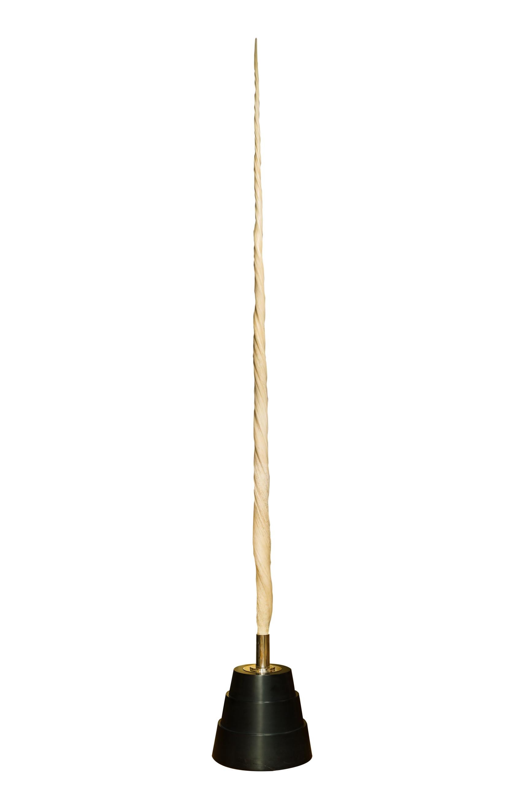 Narwhal Tusk In Good Condition For Sale In Paris, FR