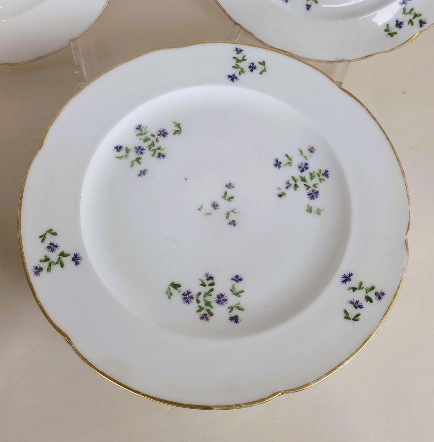 French Nast In Paris, Series Of 12 Barbeaux Plates, 18th Century For Sale