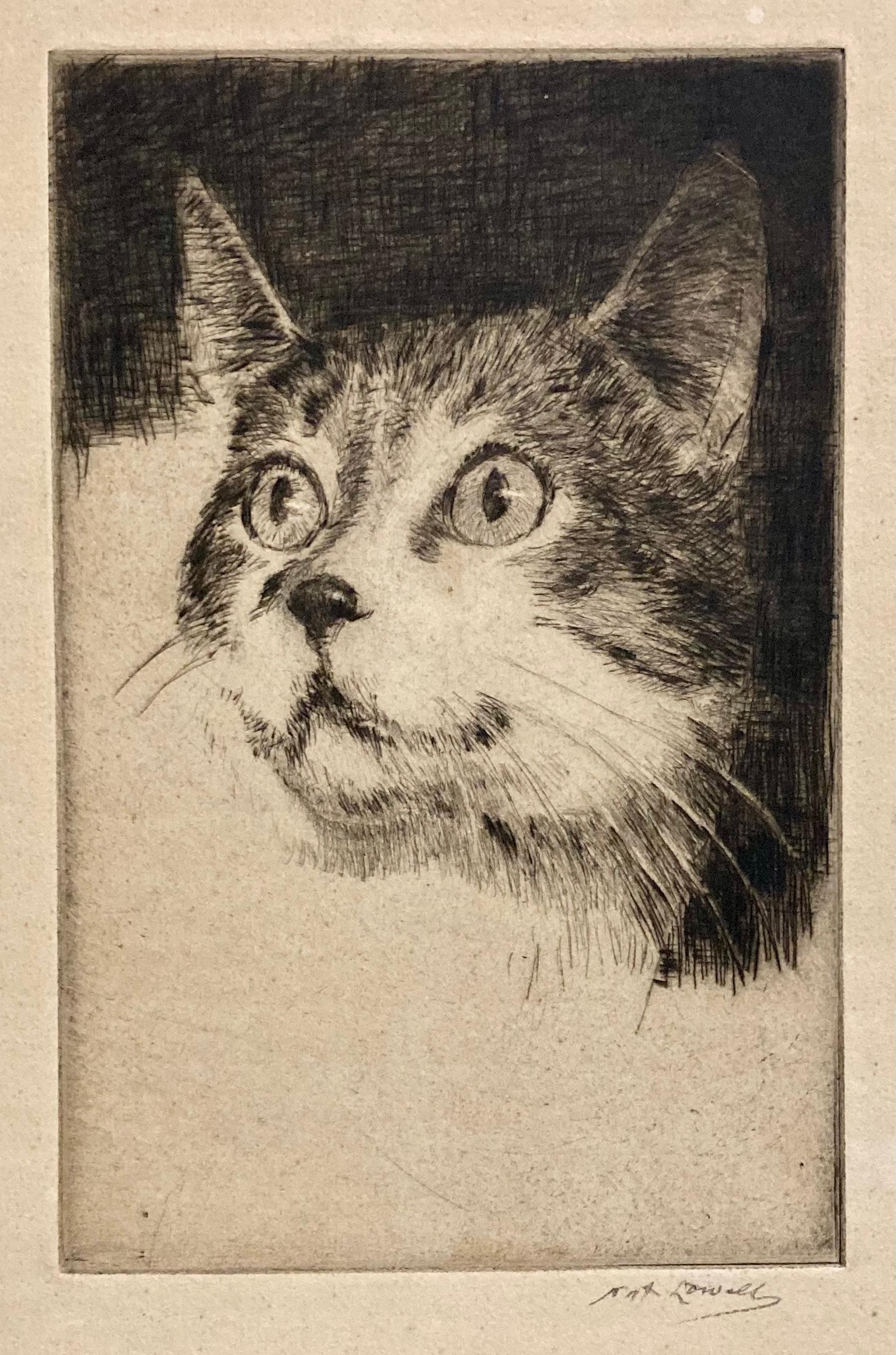 Nat Lowell Figurative Print - (Head of a Cat)