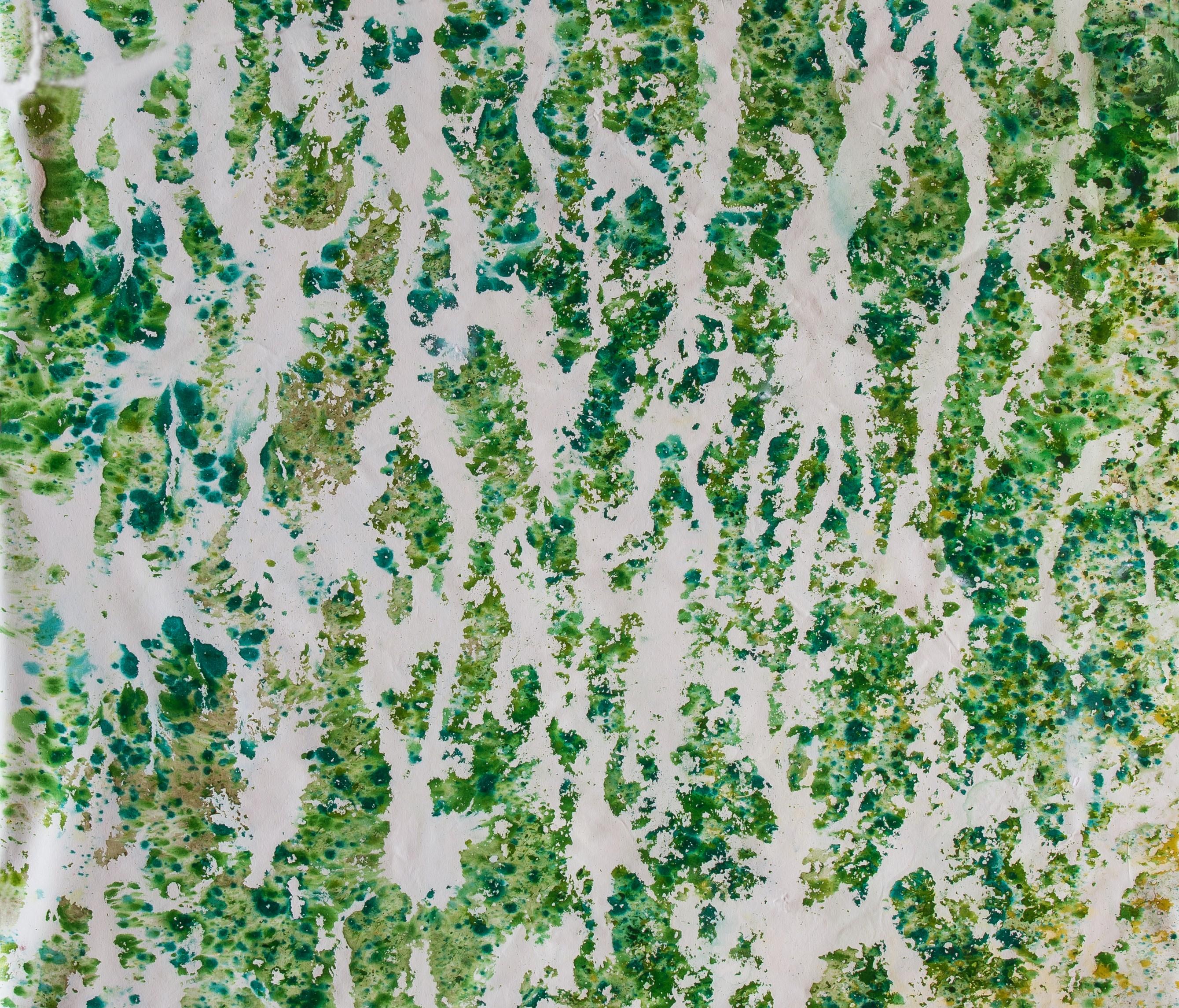 Registro de verano. From The Series Registros For Sale 1