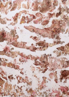 Registros en el este II. From The Series Registros