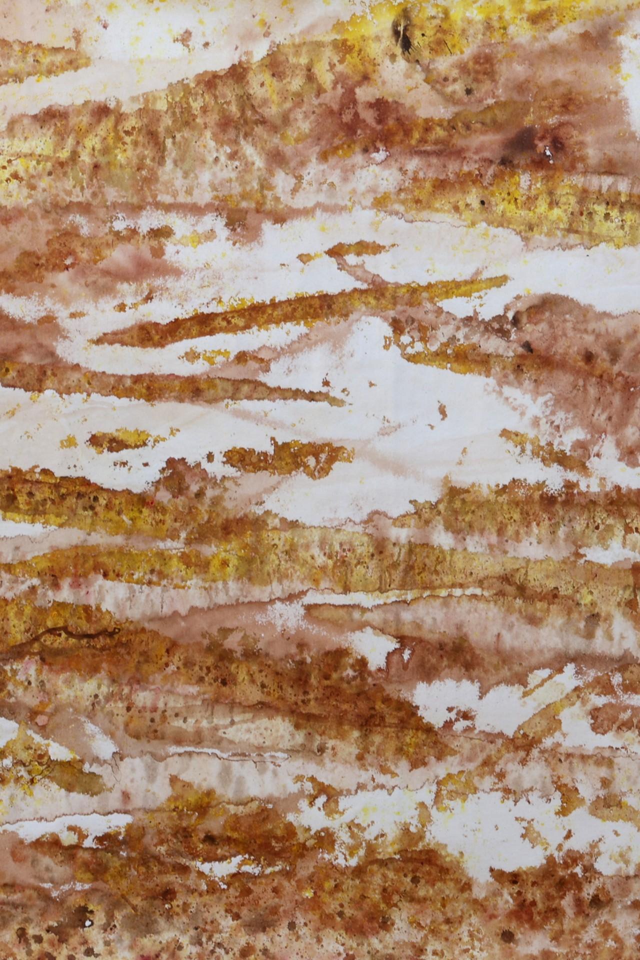 Registros II. From The Series Registros For Sale 1