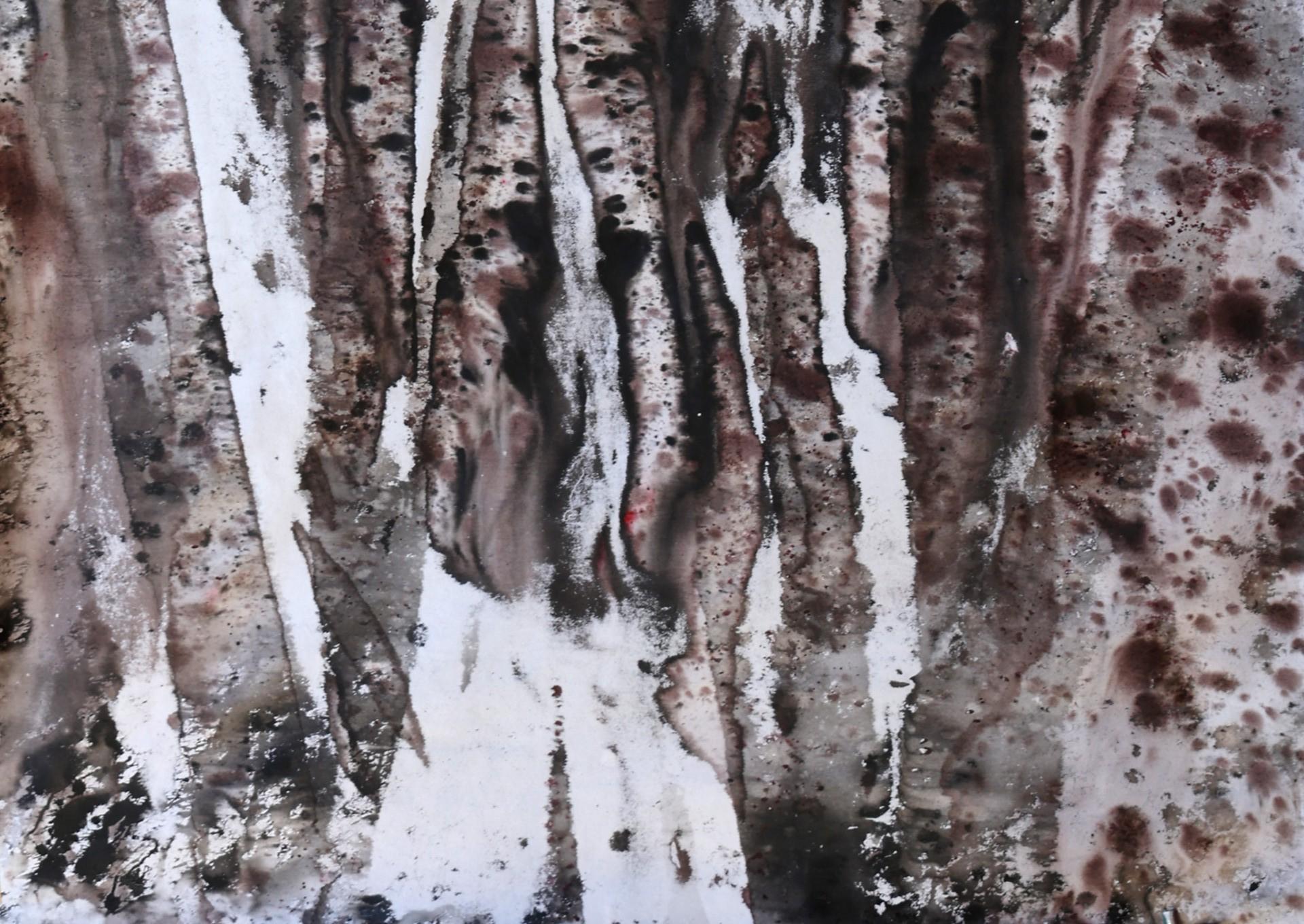 ​Impressions of past lives, perceptions of future lives. The Records series carries that mystery. Simple and profound since its deed does not happen on the surface. Although it manifests itself visually, it happens in the depths of the bed of our