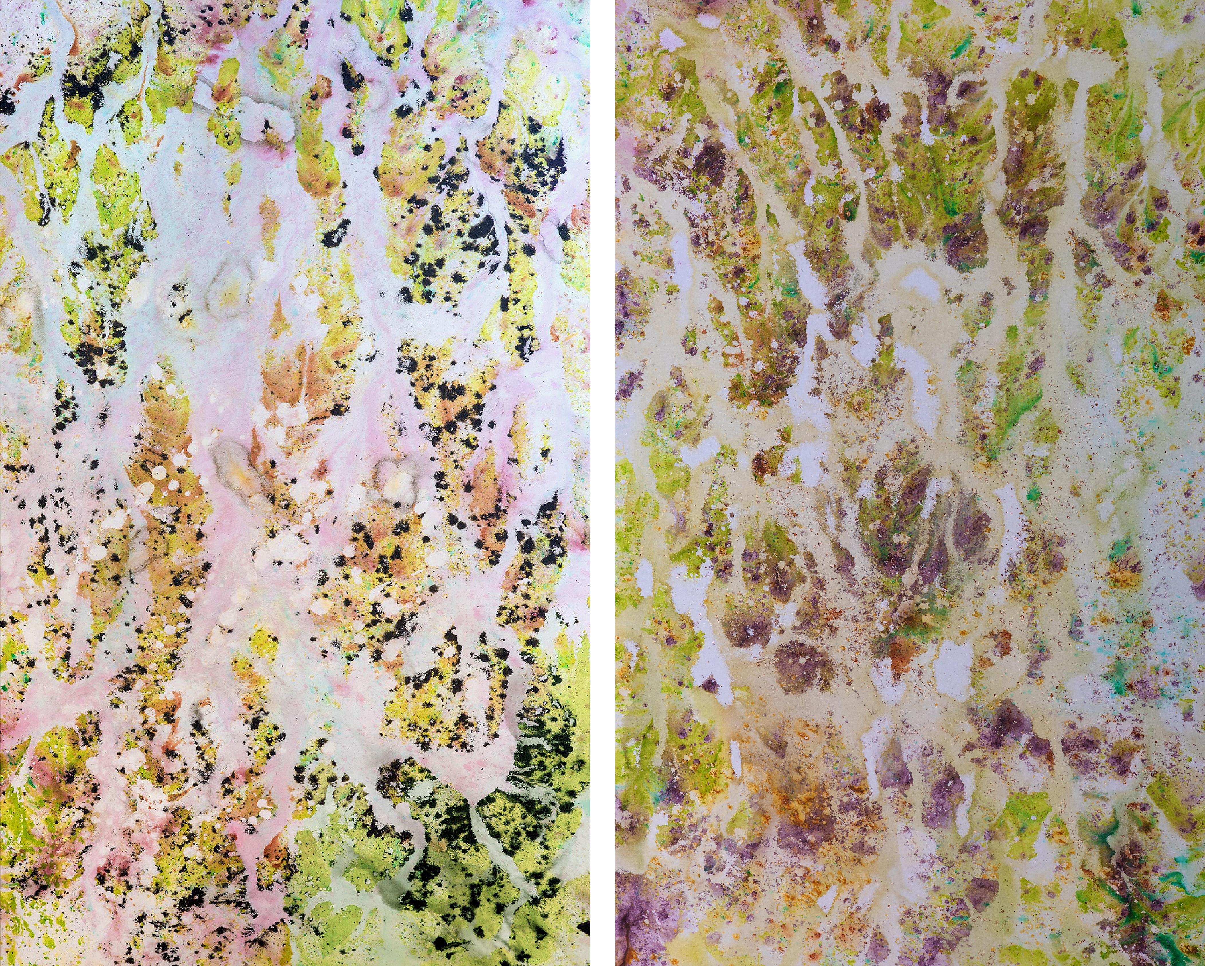 Diptych: Registros XVII and Registros XVIII. From The Series Registros - Mixed Media Art by Nat Orlowski
