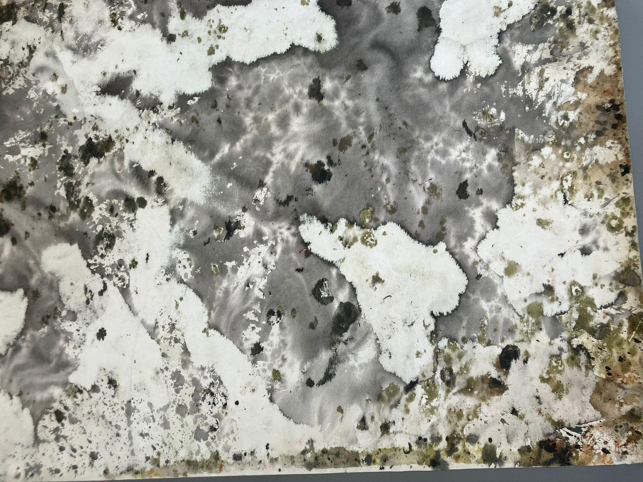 Registros, Abstract Paintings. From The Series Registros For Sale 6
