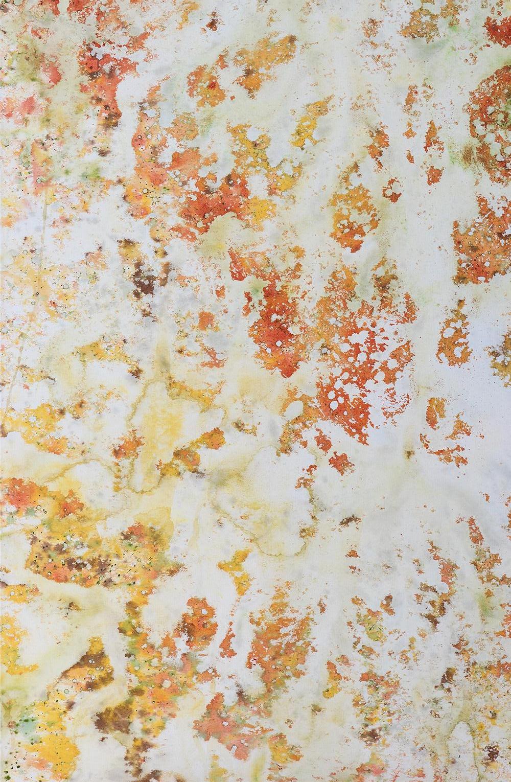 Registros VII, Dipinti astratti. Dalla serie Registros - Mixed Media Art Astratto di Nat Orlowski
