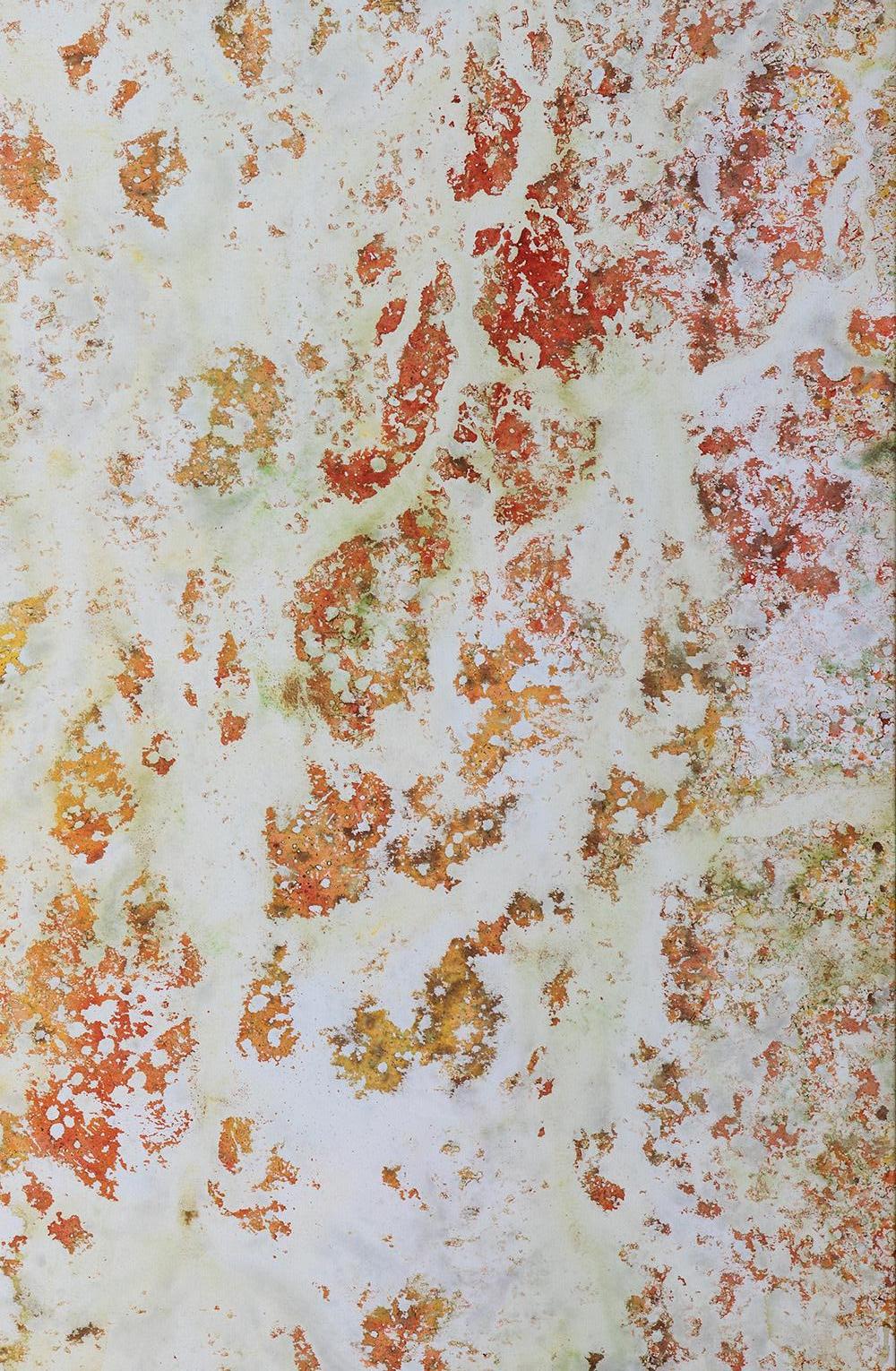 Registros VII, 2022 di NAT Orlowski
Dalla serie Registros
Lacche, pigmenti, inchiostro di china, acrilico, acqua e sole su tela.
Dimensioni: 240 H. cm x 140 W. cm. 
Unico 

Impressioni di vite passate, percezioni di vite future. La serie Records