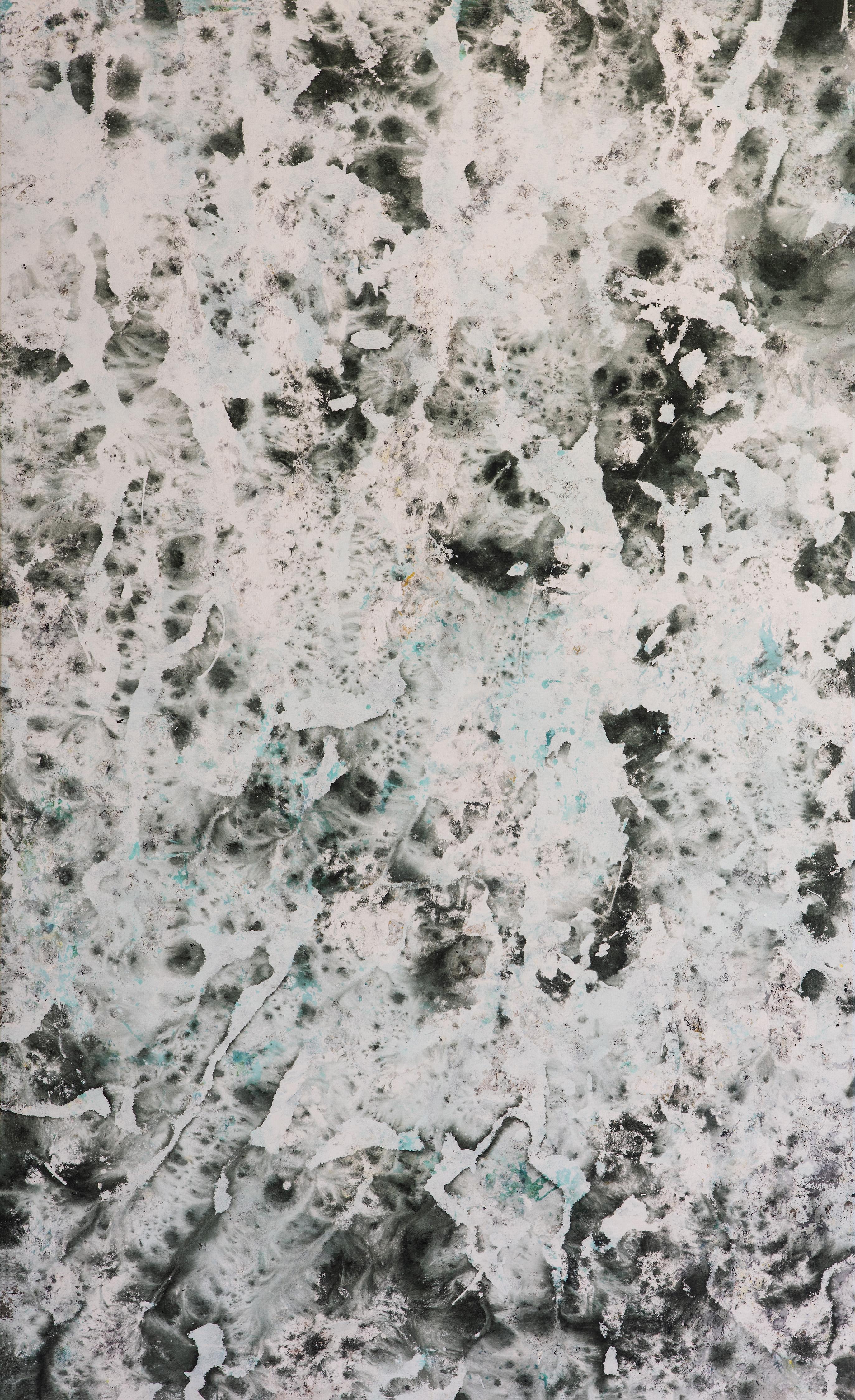 Registros XII, Dipinti astratti. Dalla serie Registros