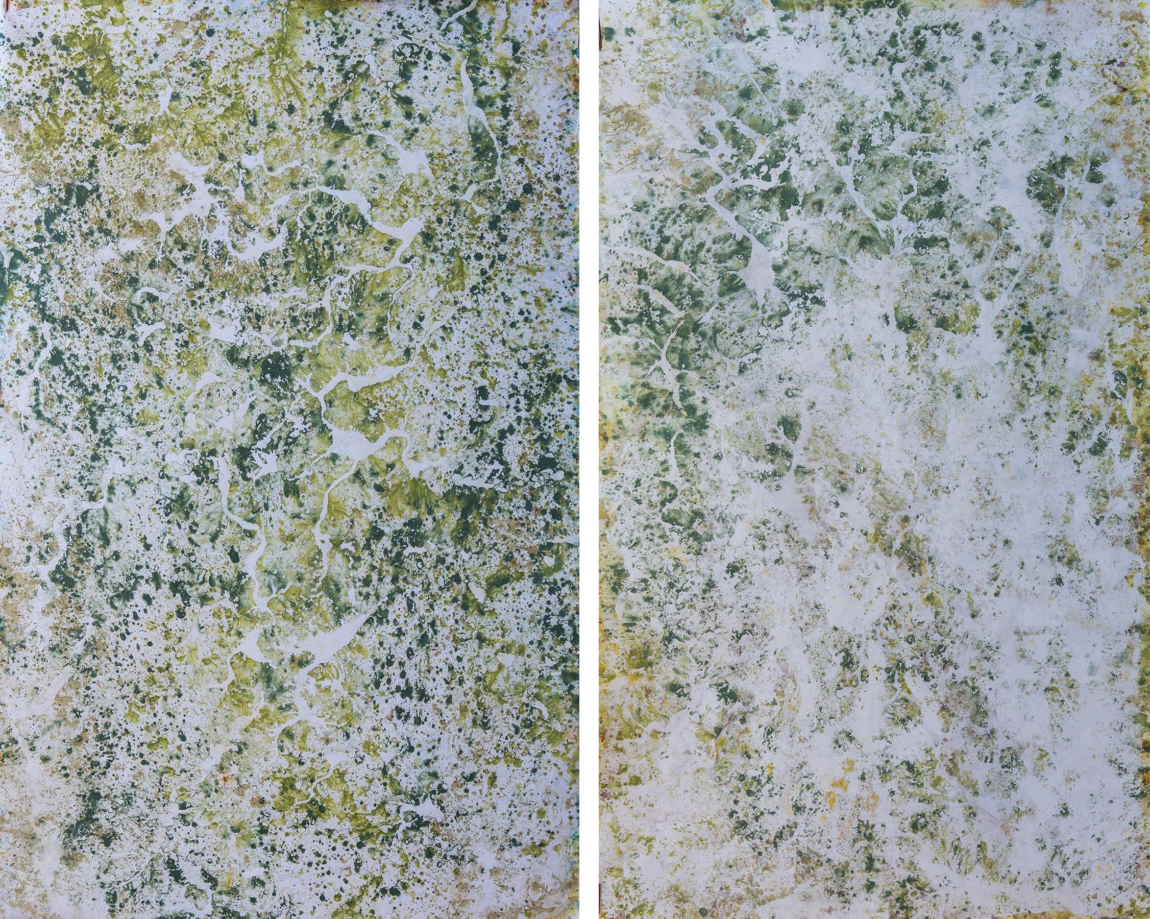 Registros XV and XVI, Diptych. From the series Registros