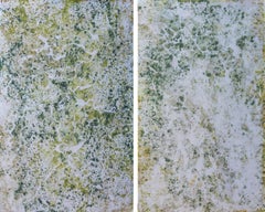 Registros XV and XVI, Diptych. From the series Registros