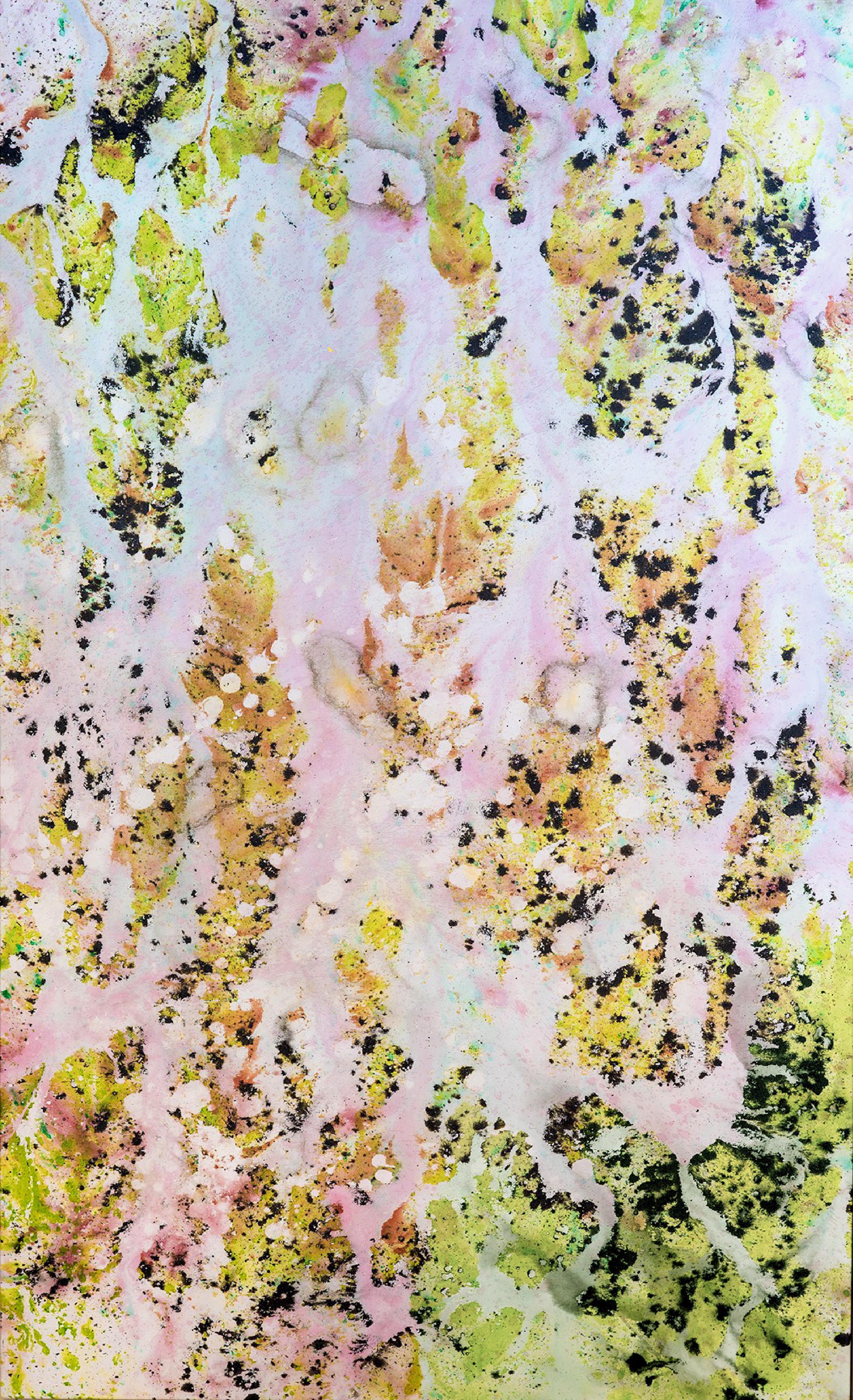 Registros XVII, Abstract Paintings. From The Series Registros