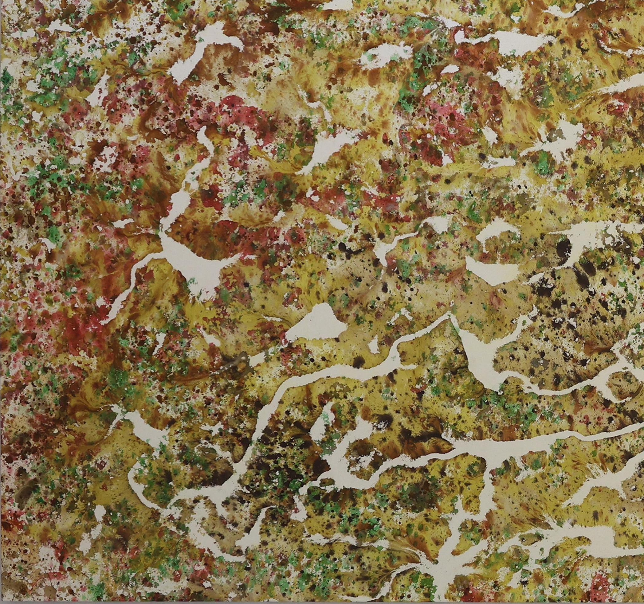 Registros XXIII, Pinturas Abstractas. De la serie Registros en venta 1