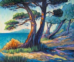 Paysage lumineux côtier