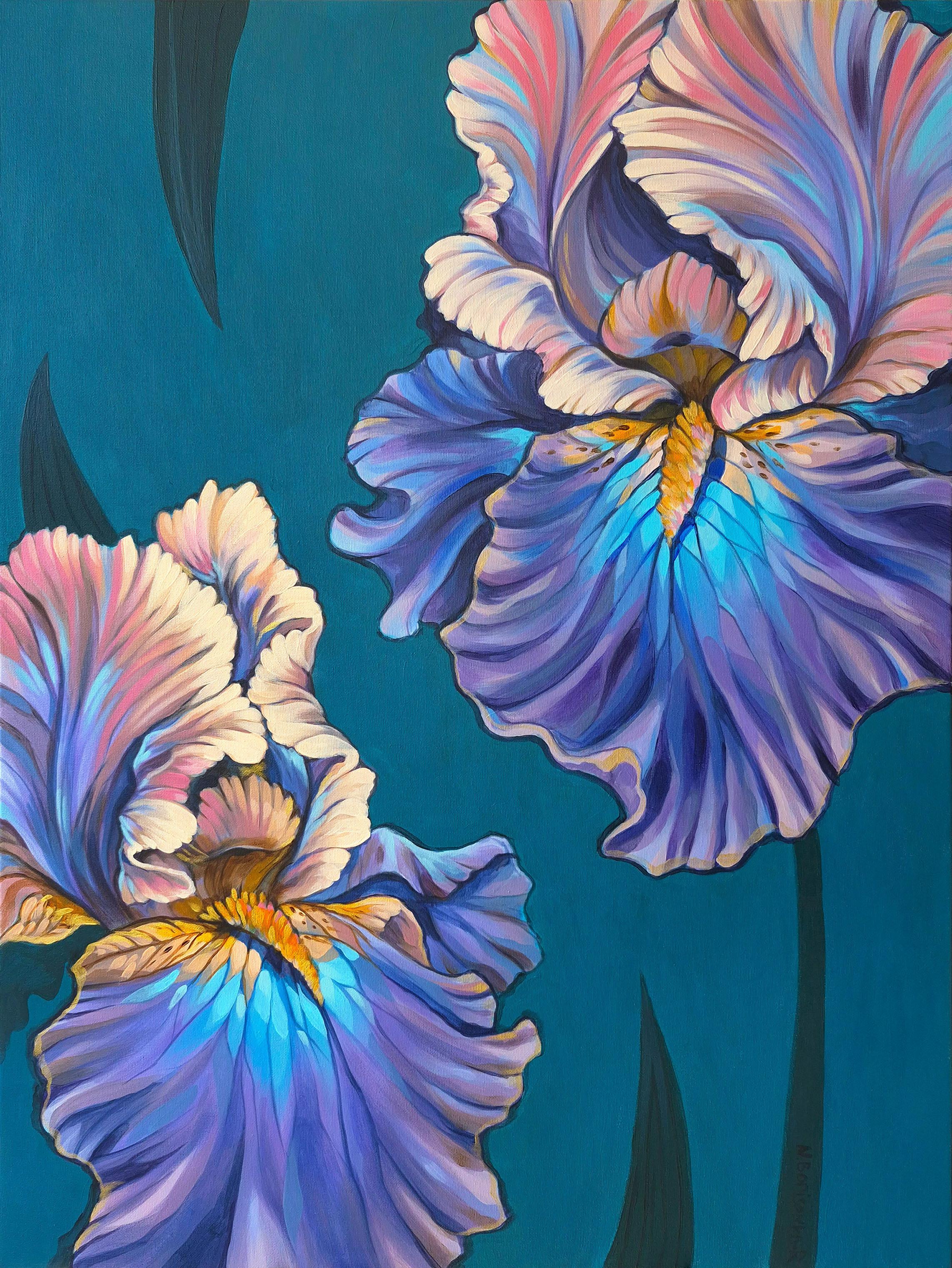 Iris - Nachtblüte