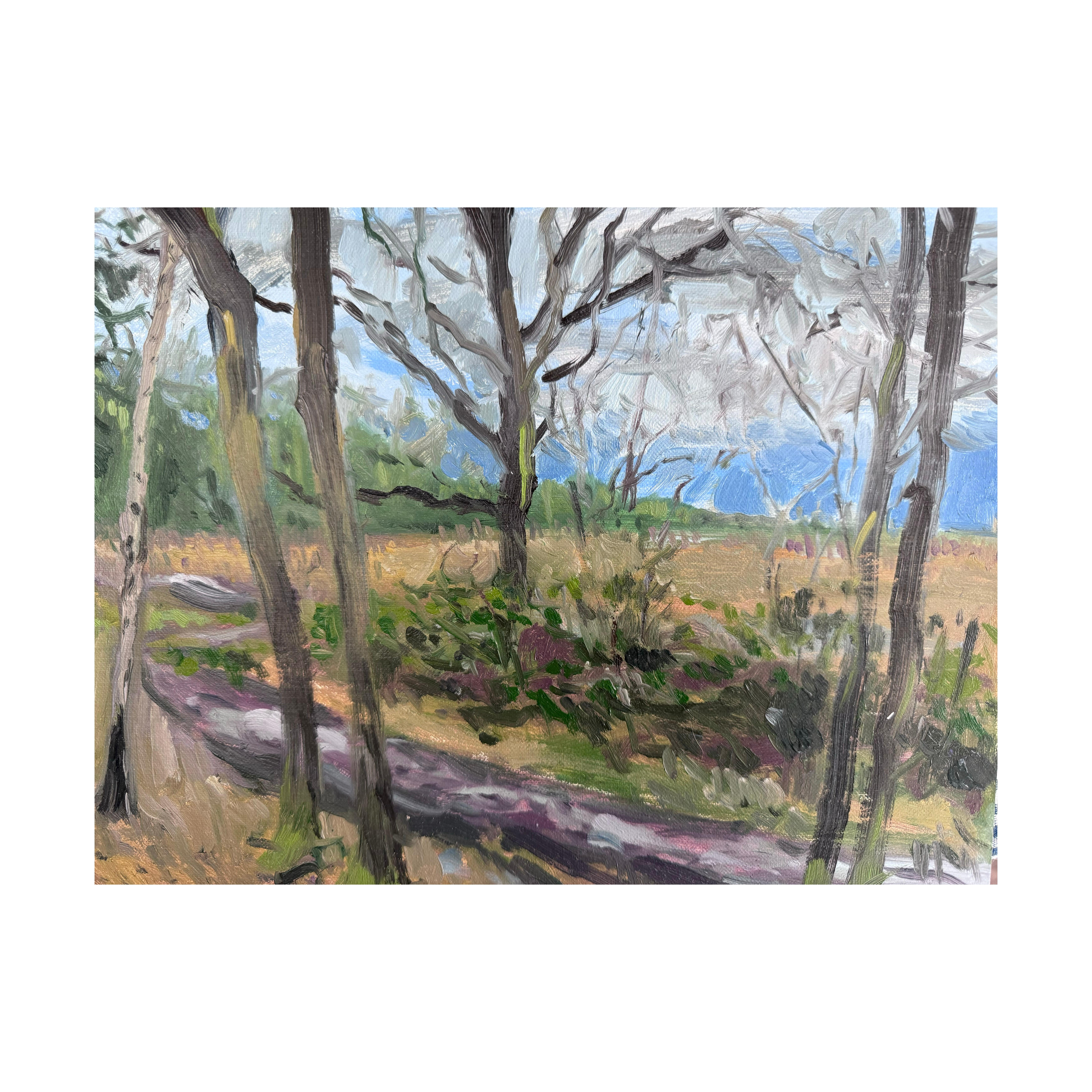 Autumn on the Common, Original painting, Landscape, Nature, Tree For Sale 4