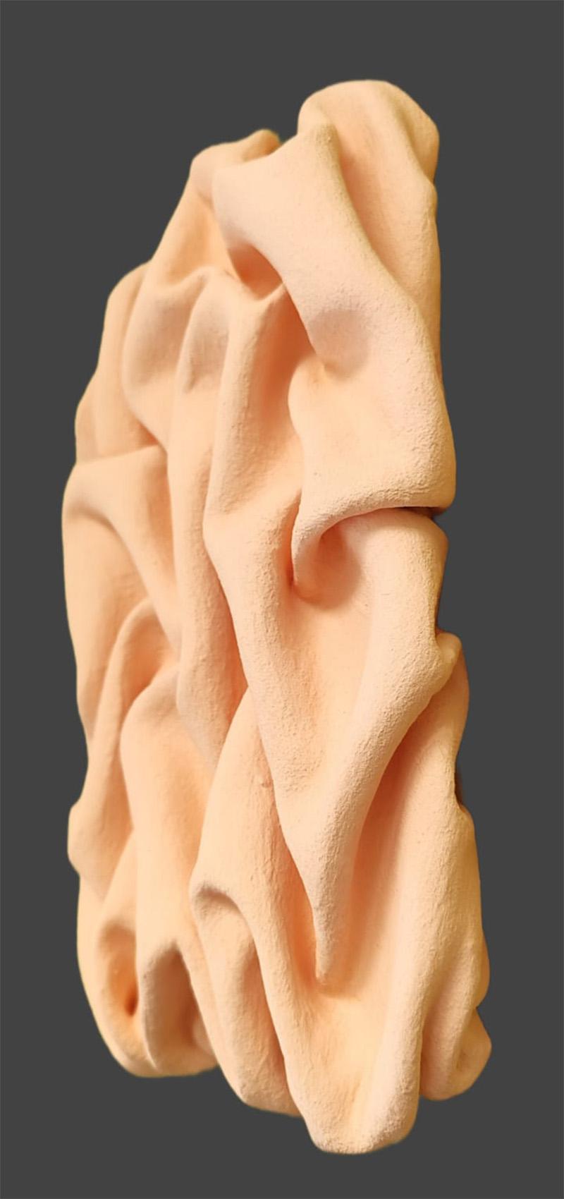 Dream de Rose, sculpture en tissu incrusté d'argile, pour installation murale - Sculpture de Natalie Krainin