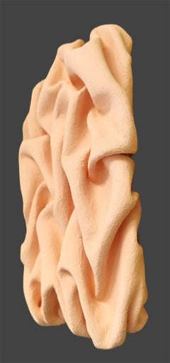 Sueño de Rosa, Escultura de tela con arcilla, para instalación mural