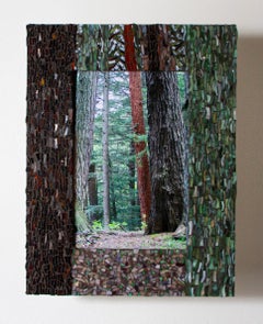 Redwood (fotografia fine art su stampa in metallo con cornice in mosaico di vetro colorato)