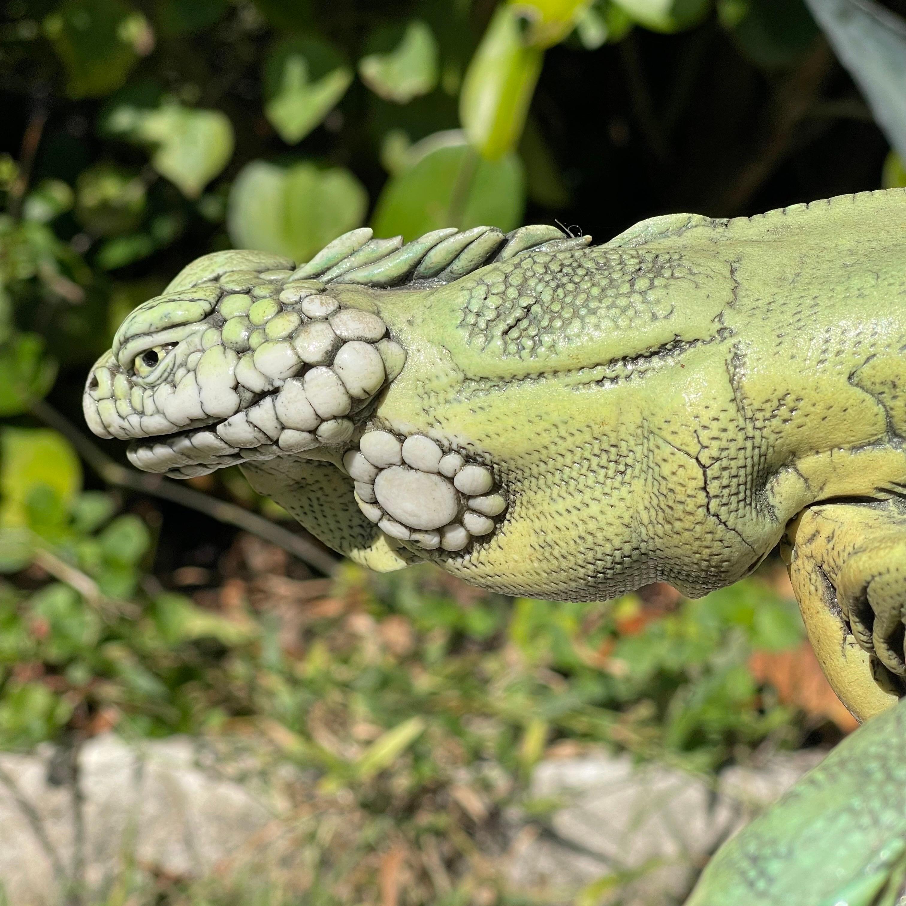 To confront her childhood fear of reptiles, Surving sculpted an iguana, which proved to be an epiphany that would lead her to a life of sculpting hyper-realistic reptiles. From miniatures to larger-than-life installations for museums and Disney