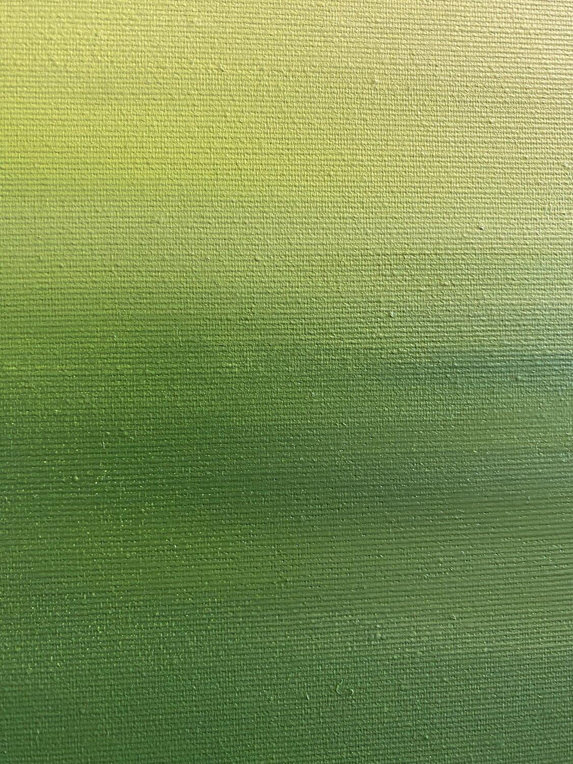 Campo de violación, paisaje minimalista cielo azul, campo verde en venta 6