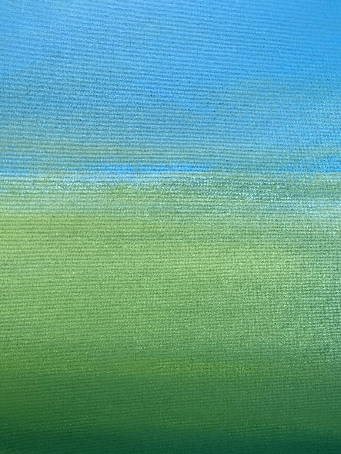 Campo de violación, paisaje minimalista cielo azul, campo verde en venta 4