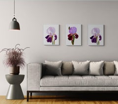 Série « Le printemps à Paris » - Fleur d'Iris, fleur d'iris, jardin