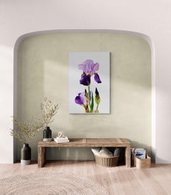 Série « Le printemps à Paris » - Fleur d'Iris, fleur d'iris, jardin