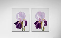 Série « Le printemps à Paris » - Fleur d'Iris, fleur d'iris, jardin