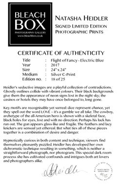 Flight of Fancy - Electric Blue Feathers - Conceptual, Color Photography